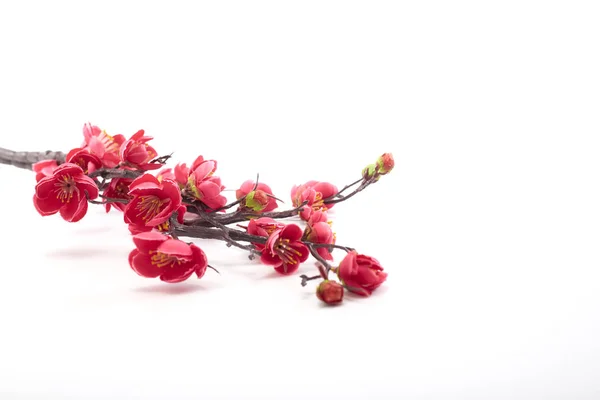 Ramo Artificial Cereja Florescente Com Flores Rosa Brilhantes Isolado Fundo — Fotografia de Stock