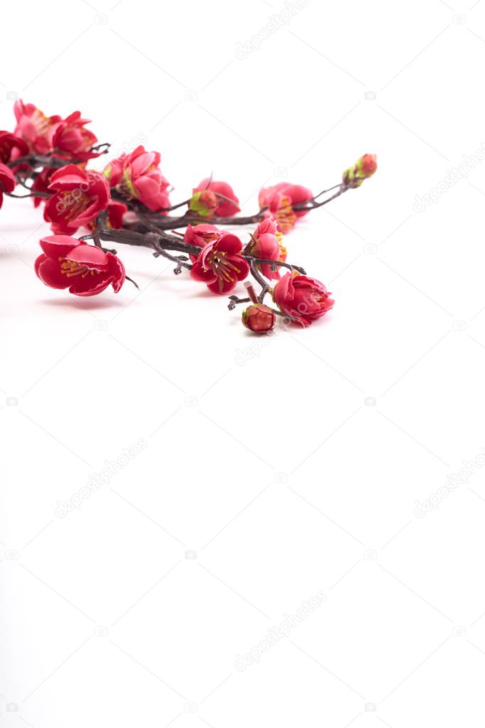 Artificial branch of blossoming cherry with bright pink flowers, isolated on white background, copy space for text