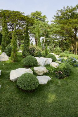 Asyalı yeşil bahçe süslemeleri