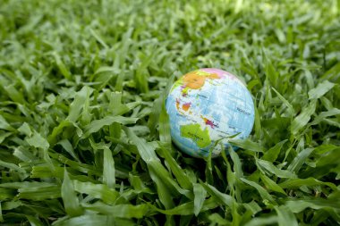 Küre yeşil çimen alan kavramına dayanır