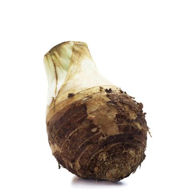 Yakın plan taze Taro beyaz arkaplanda izole edildi