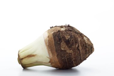 Yakın plan taze Taro beyaz arkaplanda izole edilmiş, kırpma yolu