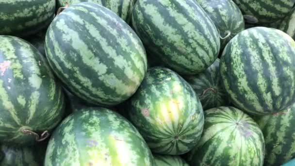 Vattenmeloner Och Meloner Bondens Marknad — Stockvideo