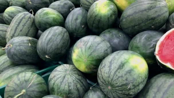 Arbuzy Melony Rynku Rolnym — Wideo stockowe