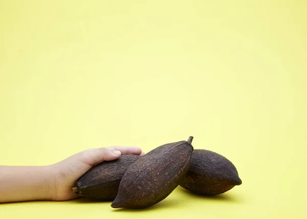 Mains Féminines Tenant Des Fèves Cacao Séchées Isolées Sur Fond — Photo