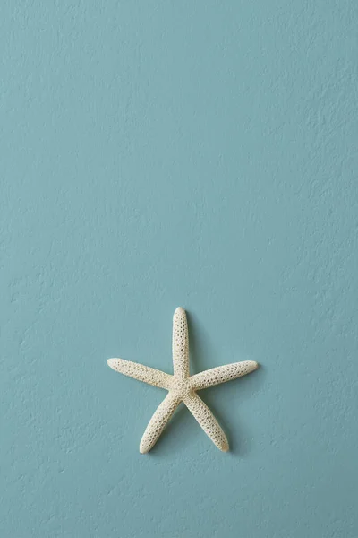 Seestern Isoliert Auf Beton Pastell Blue Wand Hintergrund Sommer Kopierraum — Stockfoto