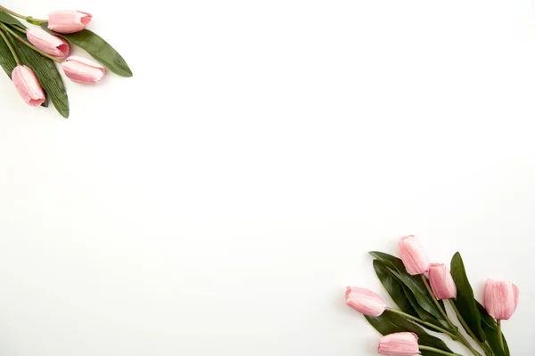 Buquê Tulipas Rosa Sobre Fundo Branco Espaço Cópia Para Texto — Fotografia de Stock