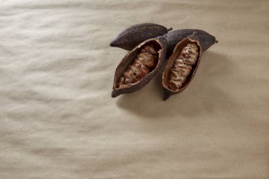 Kahverengi arka planda çok az kakao kabuğu ve kakao çekirdeği var.