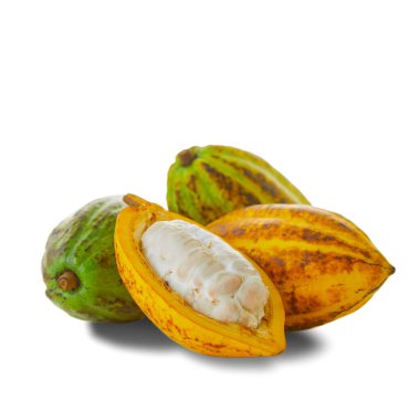 Beyaz arka planda yeşil yapraklı taze kakao meyveleri, kırpma yolu