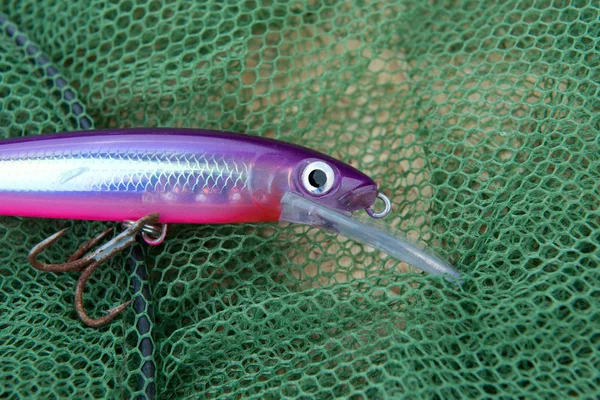 Balıkçılık aksesuarları ve metin için yer ile arka plan