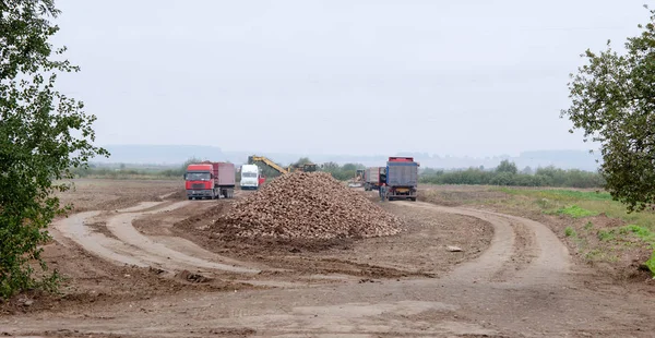 Carga de remolacha azucarera — Foto de Stock