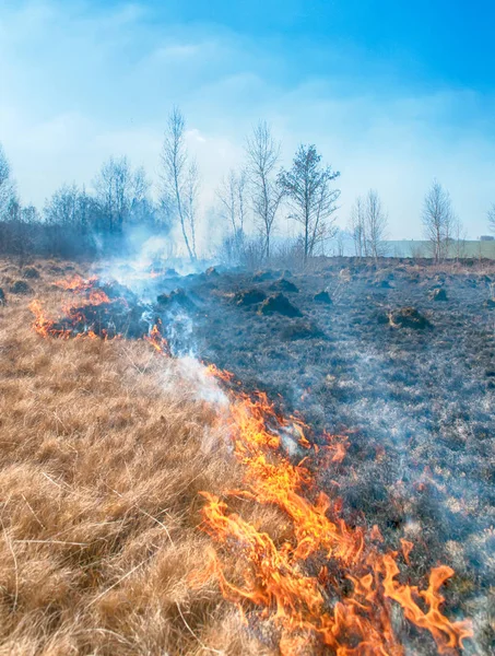 Fire Spring Field — Stock Photo, Image