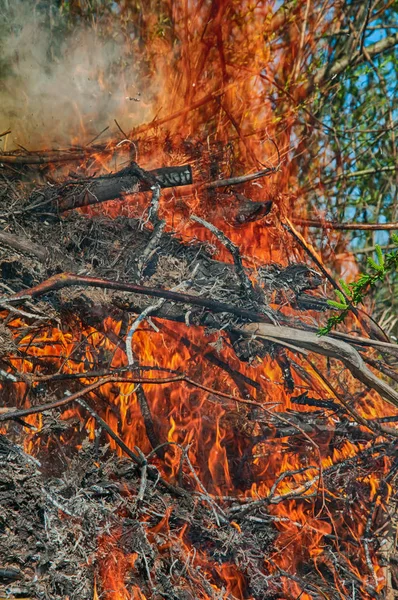 Fire Spring Field — Stock Photo, Image