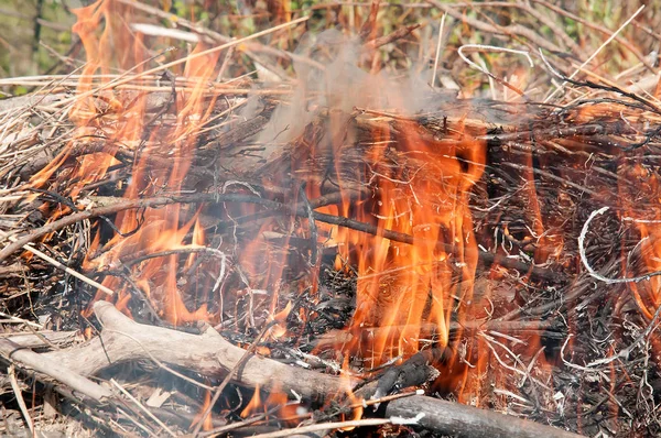Foc Câmpul Primăvară — Fotografie, imagine de stoc