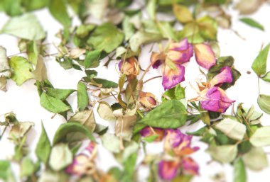 çiçek kompozisyon. Çerçeve kurutulmuş gül çiçek yaptı