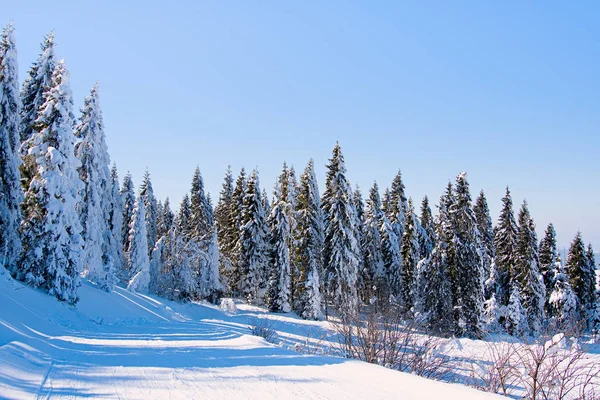 Fantastic winter landscape — Stock Photo, Image