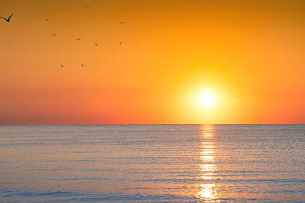 Яскравий захід сонця — Безкоштовне стокове фото