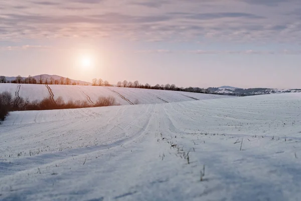 Bellissimo paesaggio invernale — Foto Stock