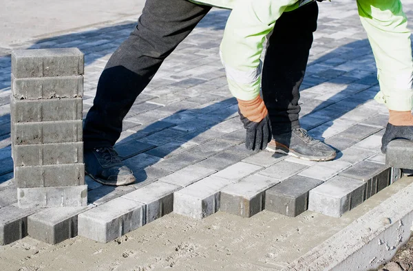 Meester Handschoenen Legt Tegels Lagen Tuin Baksteen Pad Bestrating Door — Stockfoto