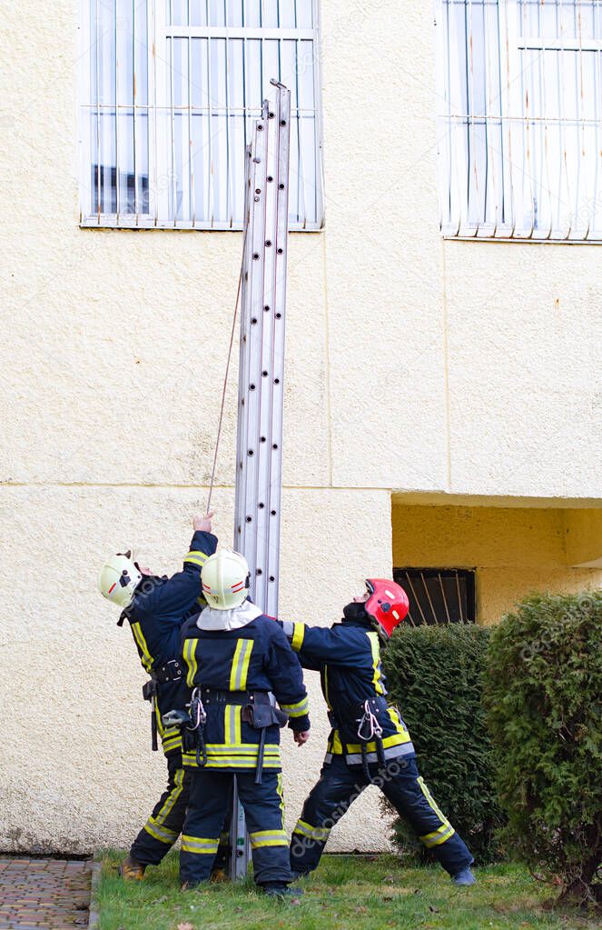 firefighters with a large ladder during a rescue