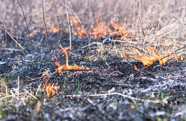 Spring Arsons Grass Disaster Strong Wind Spreads Fire — Stock Photo, Image