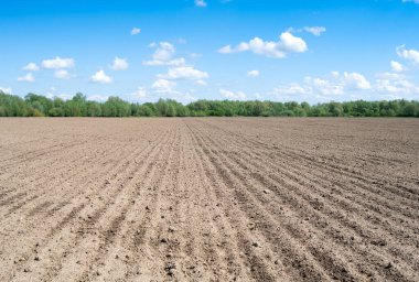 Tarım alanlarıyla bahar manzarası, tarım geçmişi