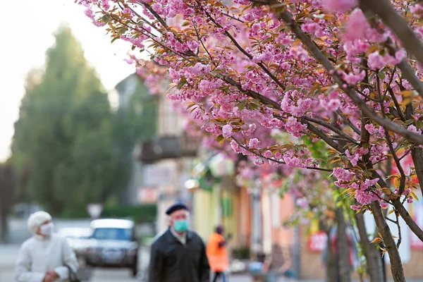 Emberek Viselnek Maszk Alatt Sakura Virágzás Megtekintésére Ukrajnában — Stock Fotó