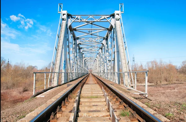 Eisenbahnbrücke Aus Stahl Innenansicht Führt Über Den Fluss Die Bäume — Stockfoto