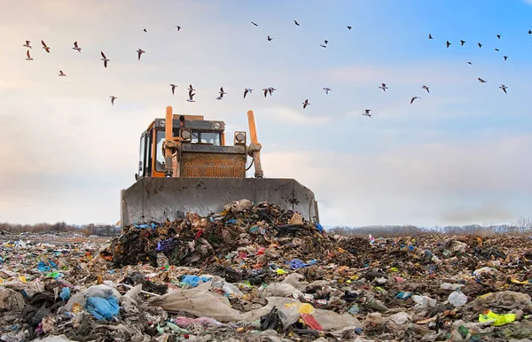 Bulldozer Travaillant Sur Décharge Avec Des Oiseaux Dans Ciel — Photo