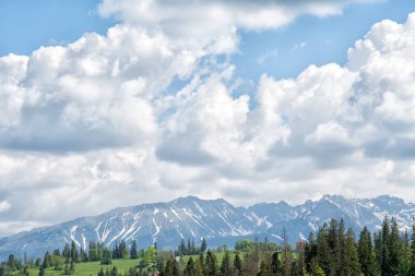 Tatra dağlarının manzarası. Sabahları Tatra dağları. Karlı dağların eteklerindeki güzel yeşil vadi. 