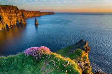  İrlandalı dünya ünlü turistik County Clare. Cliffs Moher West coast İrlanda. Epik İrlandalı Peyzaj ve yaban Atlantik yol boyunca deniz manzarası. İrlanda'dan güzel doğal Doğa.