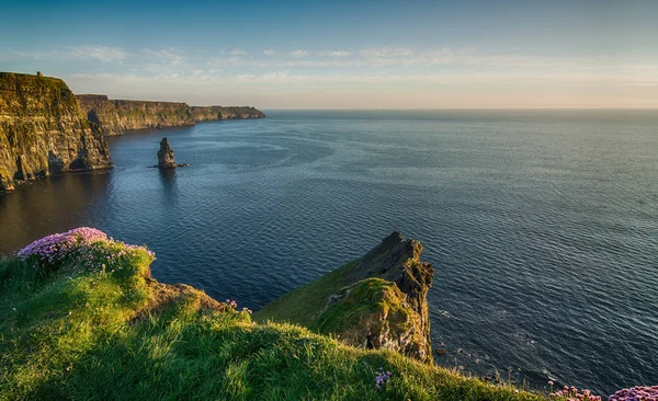 Irish world famous tourist attraction in County Clare. The Cliffs of Moher West coast of Ireland. Epic Irish Landscape and Seascape along the wild atlantic way. Beautiful scenic nature from Ireland.