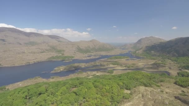 Vista aerea Killarney National Park sul ring di Kerry, contea di Kerry, Irlanda. aerea epica di un paesaggio naturale irlandese. profilo video piatto . — Video Stock