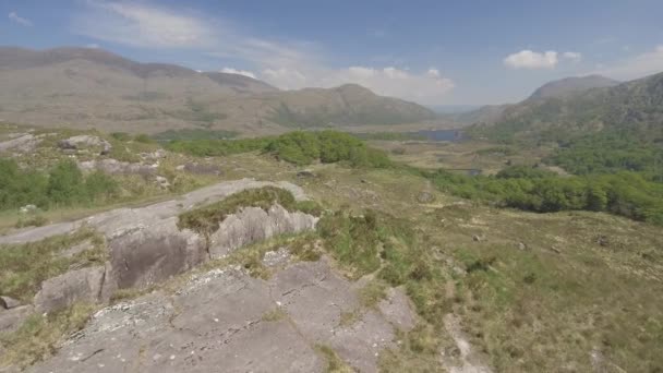 Vista aérea Parque Nacional de Killarney en el anillo de cerezo, condado de cerezo, Irlanda. aérea épica de un paisaje irlandés natural. perfil de vídeo plano . — Vídeos de Stock