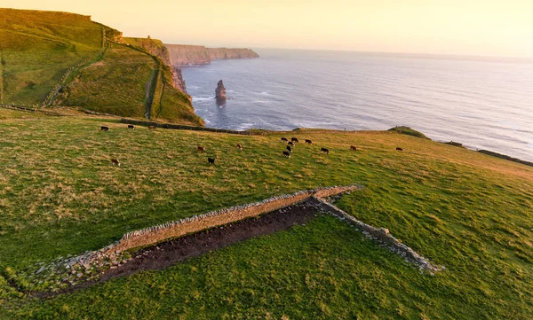 空中鸟瞰来自世界著名克莱尔郡爱尔兰莫赫悬崖。在农村，农村的爱尔兰野生大西洋沿途美丽的爱尔兰风景景观自然. — 图库照片