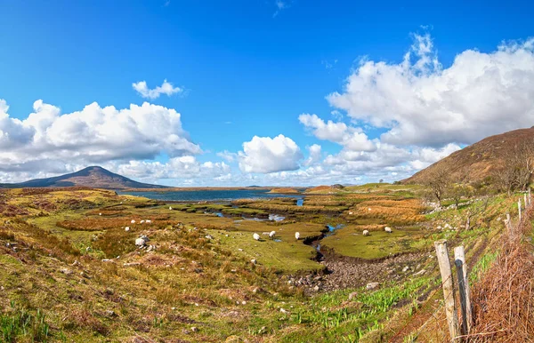 Beau paysage rural pittoresque de campagne du parc national connemara dans l'Irlande galway . — Photo