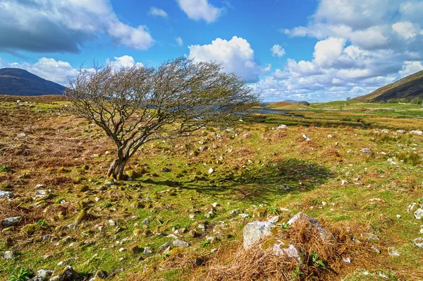 Bellissimo paesaggio paesaggistico rurale dal parco nazionale del Connemara in Galway Irlanda . — Foto Stock