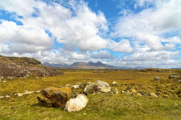 Vackra natursköna landsbygd landskap från connemara national park i galway ireland. — Stockfoto