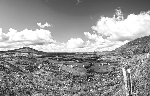 Imagen en blanco y negro de una hermosa campiña irlandesa — Foto de Stock