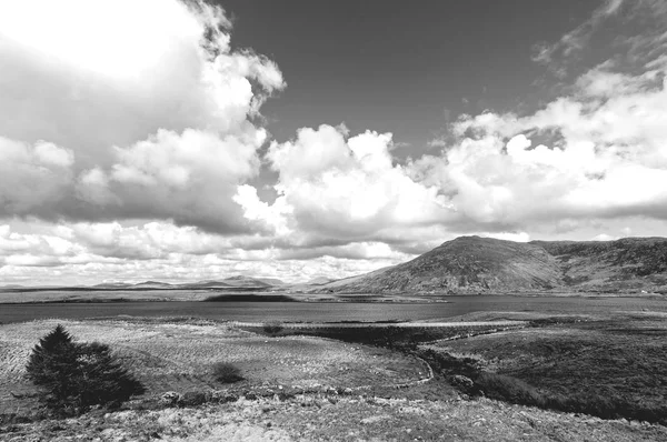 Svartvit bild på en vacker naturskön irländska landsbygden — Stockfoto