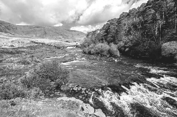 Черно-белая картина красивой живописной ирландской сельской местности — стоковое фото