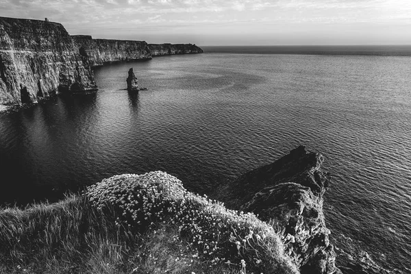 Fekete-fehér kép a világ híres sziklák moher megye Írországban. gyönyörű festői ír vidék, a vadon élő atlanti út mentén — Stock Fotó