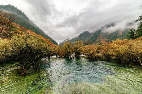 Úžasný výhled na Bonsai mělčin, Jiuzhaigou krajinné — Stock fotografie