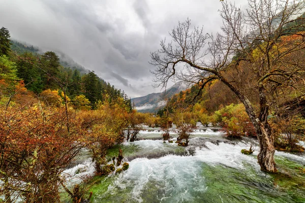 Vista panoramica dei Bonsai Shoals, riserva naturale di Jiuzhaigou — Foto Stock