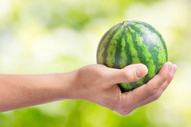 Doğa arka plan üzerinde kadının elinde küçük karpuz