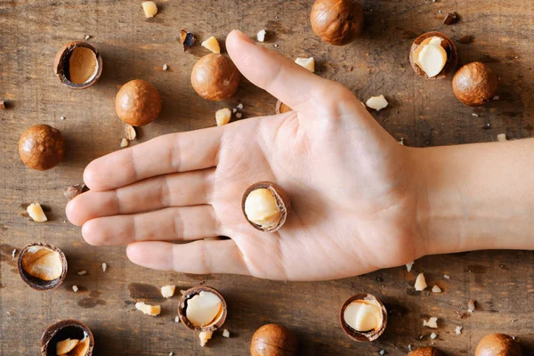 Ovanifrån av makadamianöt i hand — Stockfoto