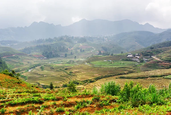 Vista superior de terrazas de arroz en las tierras altas. Sa Pa, Vietnam —  Fotos de Stock