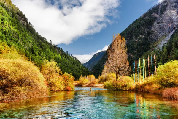 Rio com água cristalina entre montanhas e bosques — Fotografia de Stock