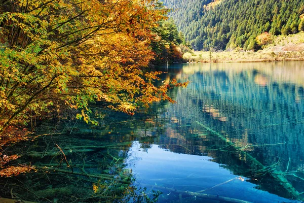 Jezero mezi lesy na podzim v Shuzheng údolí, Čína — Stock fotografie