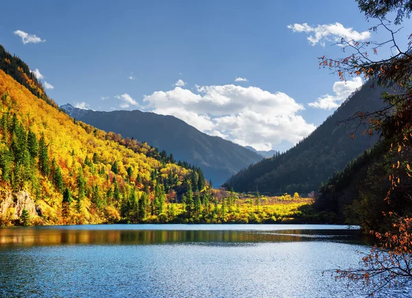 Hermosa vista del lago Panda entre coloridos bosques de otoño — Foto de Stock